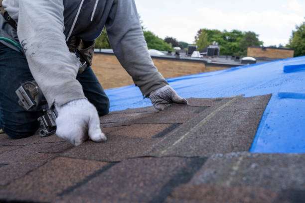 Best Affordable Roofing Company  in Trenton, OH