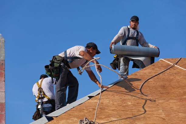 Best Roof Gutter Cleaning  in Trenton, OH