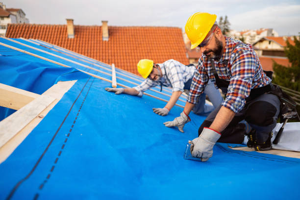 Best Metal Roofing Contractor  in Trenton, OH