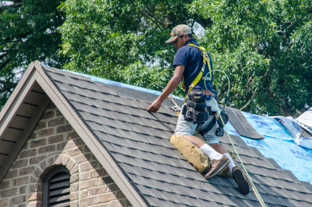 Best Shingle Roofing Installation  in Trenton, OH